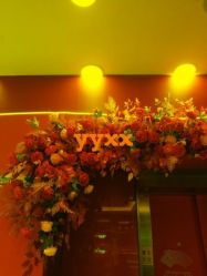 -Yestar杭州艺星医疗美容医院