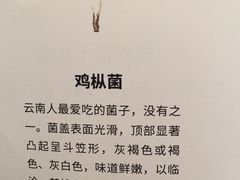 -云腾食府·云南菜