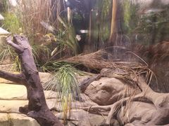 -正佳雨林生态植物园