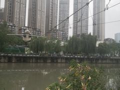 -成都市活水公园