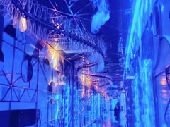 -歌友汇KTV(大悦城11层店)