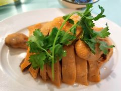 农家白斩鸡-上海德兴馆(昌里店)