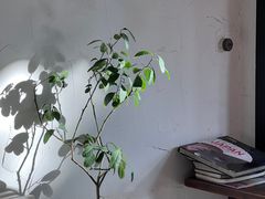 -MAISON门前杂货店