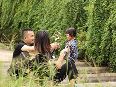 -铁山坪森林公园