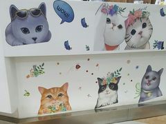 -奈斯宠物医院·核磁CT·异宠专科·内镜(中南店)