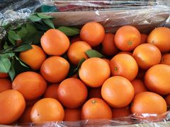-西郊国际农产品交易中心