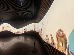 -四川大学博物馆