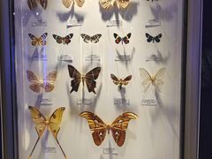 -吉林省自然博物馆