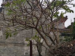 -黄埔古港