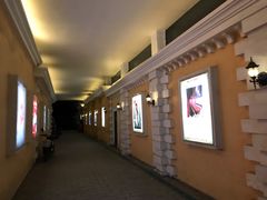 -哈尔滨电影院