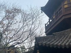-慧因高丽寺