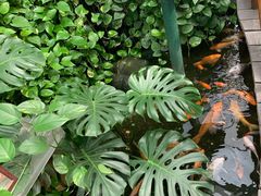 -上海大自然野生昆虫馆(东方明珠·爬宠昆虫探索中心)
