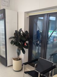 -魔型社烫染店