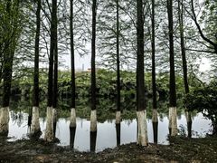 -艾溪湖湿地公园
