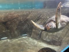 -福州罗源湾海洋世界旅游区