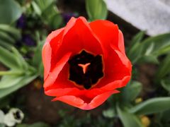 -无锡市市民中心