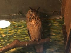 -上海大自然野生昆虫馆(东方明珠·爬宠昆虫探索中心)