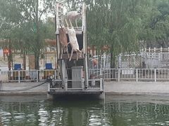 -北京鹿世界主题园