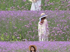 -石井坡(地铁站)