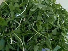 铁锅炒山菜-庆岭迎宾园正宗活鱼馆