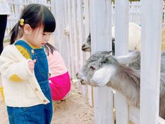 -前小桔亲子创意农场·草莓采摘·露营烧烤