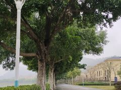 -风云岭森林公园