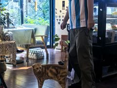 -花与咖啡馆(金星楼店)