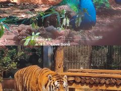 -昆明动物园