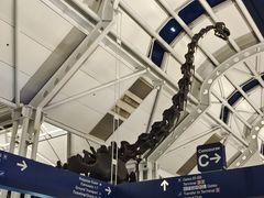 -奥黑尔国际机场