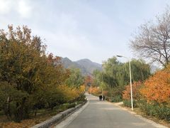 -北京鹫峰国家森林公园