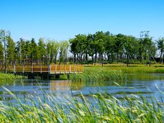 -春花秋色城市公园