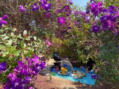 -南国桃园旅游度假区