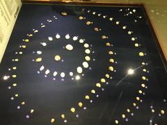 -青岛贝壳博物馆
