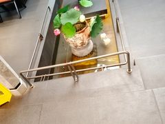-单家老院·院子里的青岛菜(沙子口店)