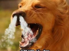 -喜家德虾仁水饺(华强天虹店)