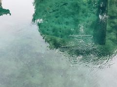 -百脉泉景区