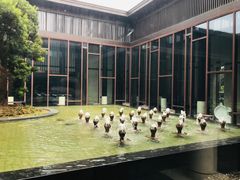 -上海崇明金茂凯悦酒店