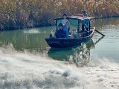 -西溪国家湿地公园