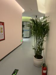 -郑州缔莱美医疗美容医院