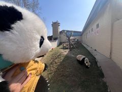 -石家庄市动物园