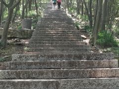 -紫金山山顶公园