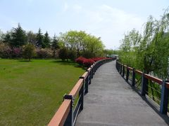 -尚贤河湿地