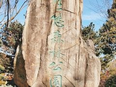 -昆山城市生态森林公园