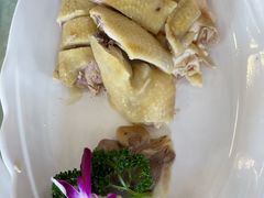 白切走地鸡-大树头·花园餐厅(市桥店)