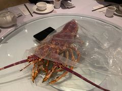 -金唐海鲜酒家
