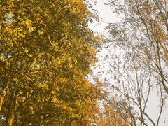 -河南省黄河迎宾馆