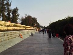 -宝安西湾红树林湿地公园