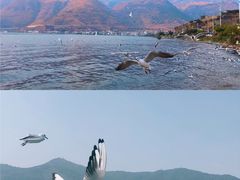 -大理洱海