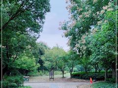 -宝界山林公园