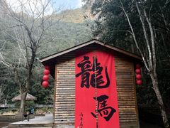 -龙湾潭国家森林公园
